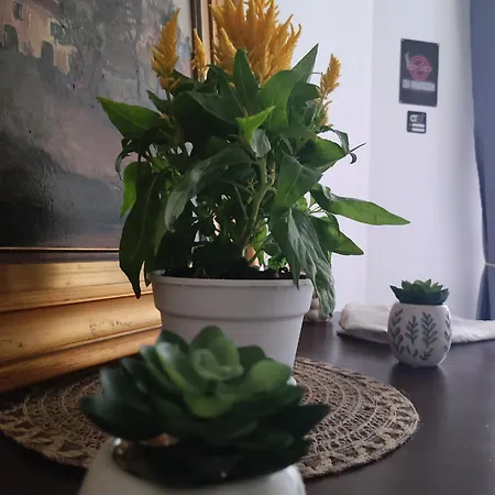 La Dimora Di Elma Palermo